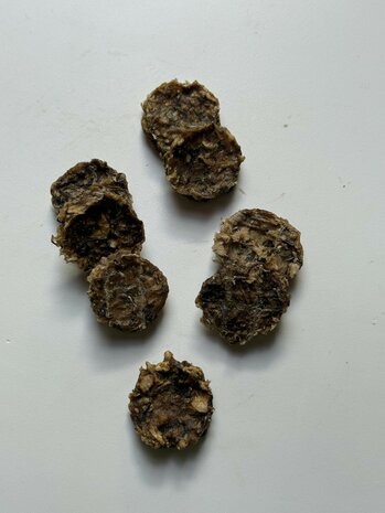 Kabeljauw & Zeewier Koekjes