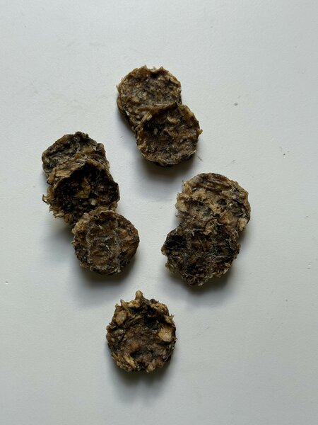 Kabeljauw &amp; Zeewier Koekjes
