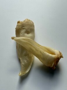 Lamsoren Lamsoren
