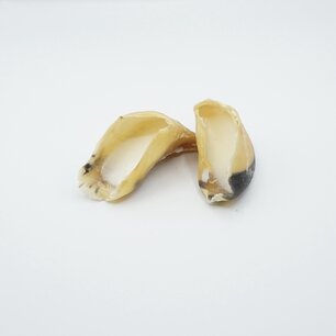 Runderhoef met schapenvet Runderhoef met schapenvet